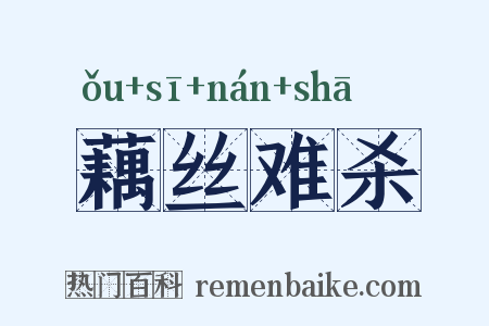 藕丝难杀是什么意思的图片